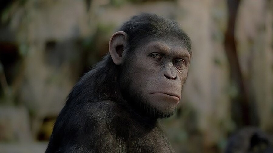 Mcu) 스포) 찌라시) 둠스데이 근황_13.jpg