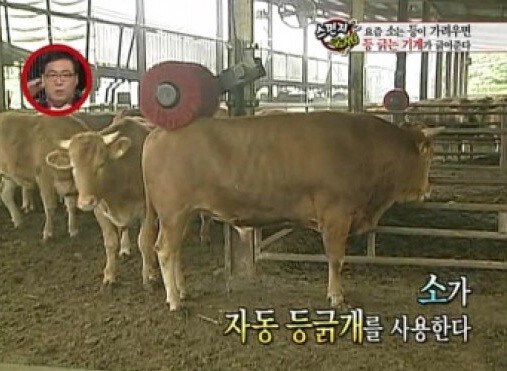 트릭컬) 오늘 스토리로 알수있는 엘리아스에 필요한것_2.jpg