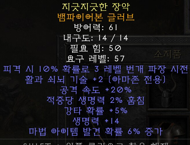 디아2) 아마존 자체 종결_5.png