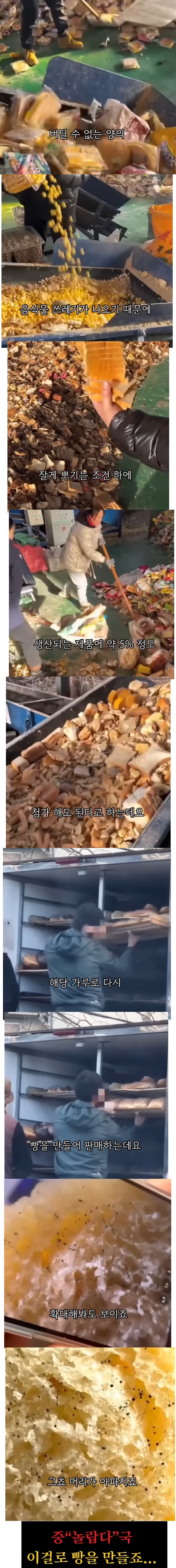 어떤 나라의 선진 음식물 쓰레기 처리 방법 JPG_1.png