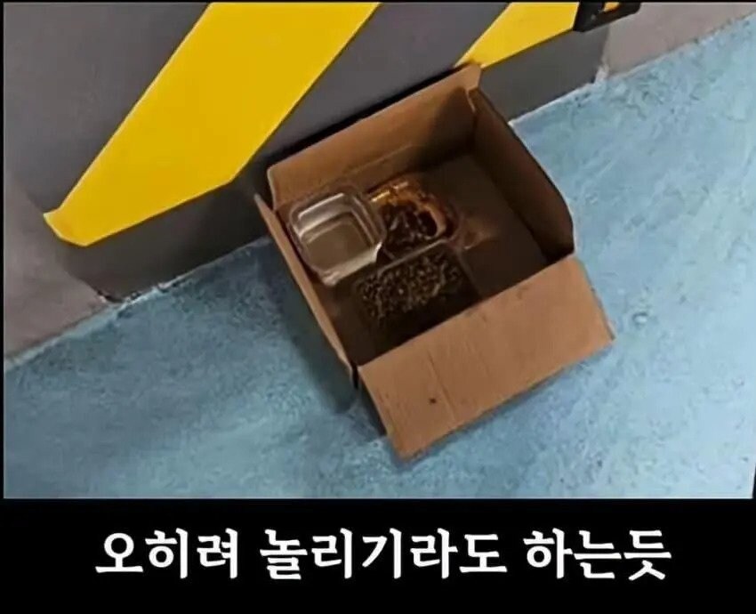 아파트에서 캣맘을 사라지게 한 묘수.JPG_6.jpg
