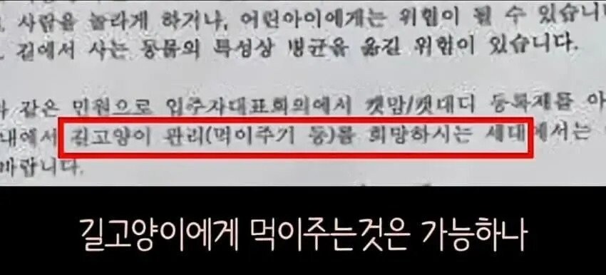 아파트에서 캣맘을 사라지게 한 묘수.JPG_12.jpg