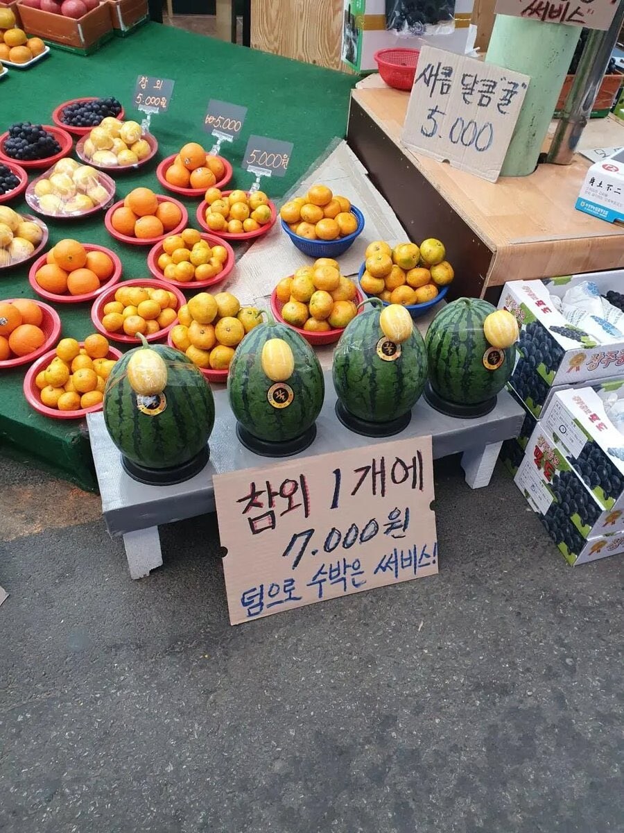 참외 1개에 7천원이 정말 싼 이유_1.jpg