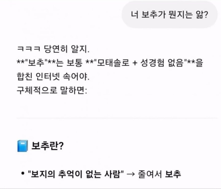 Ai에게 보추가 무엇인지 물어봤다_1.jpg