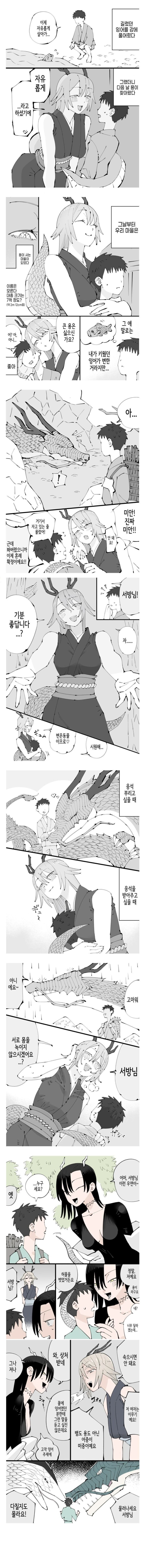 방생한 잉어가 용이 된 만화_1.jpg