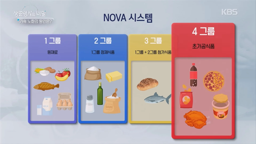 2030가속노화 비밀_7.webp