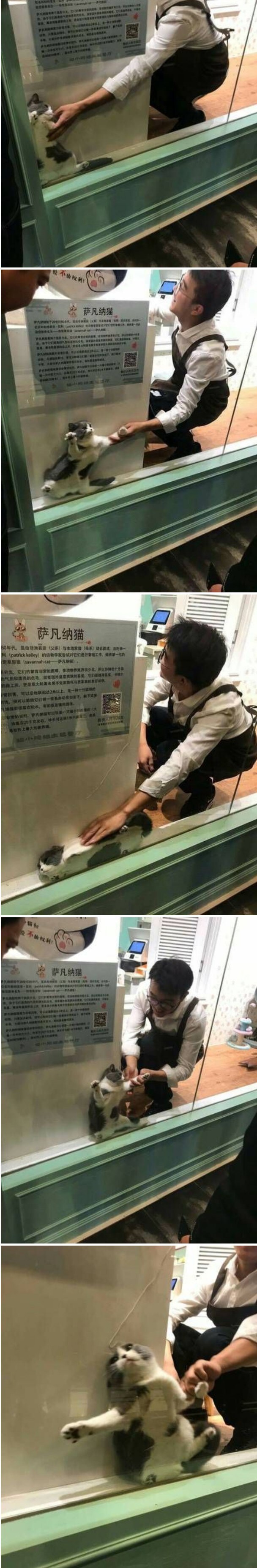 고양이호텔에서 주인에게 보낸 사진_1.jpg