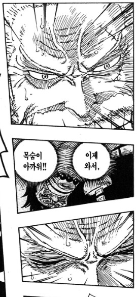 원피스)재탕중인데 가프 이부분 너무 짠하다 ...._1.png