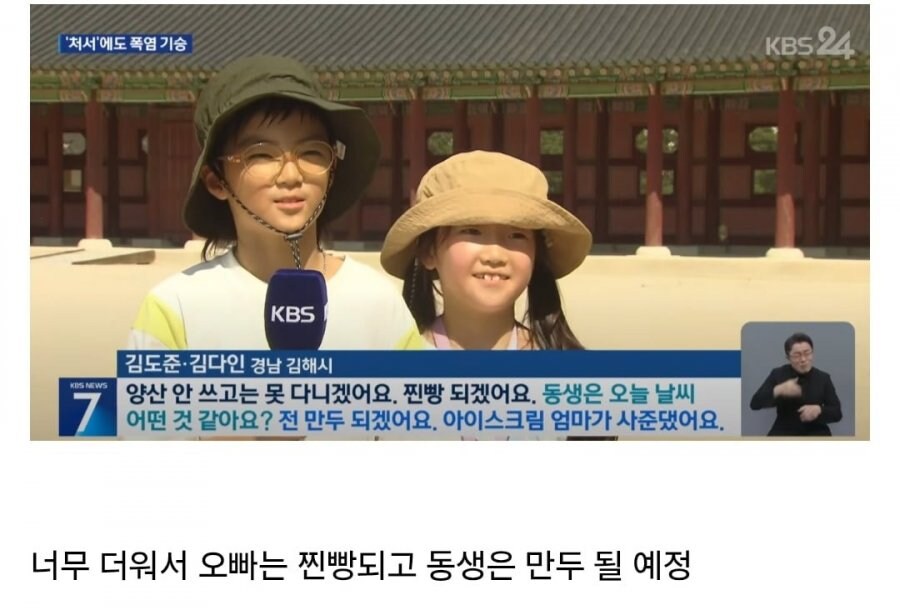 뉴스에 나온 찐빵만두 남매_1.jpg