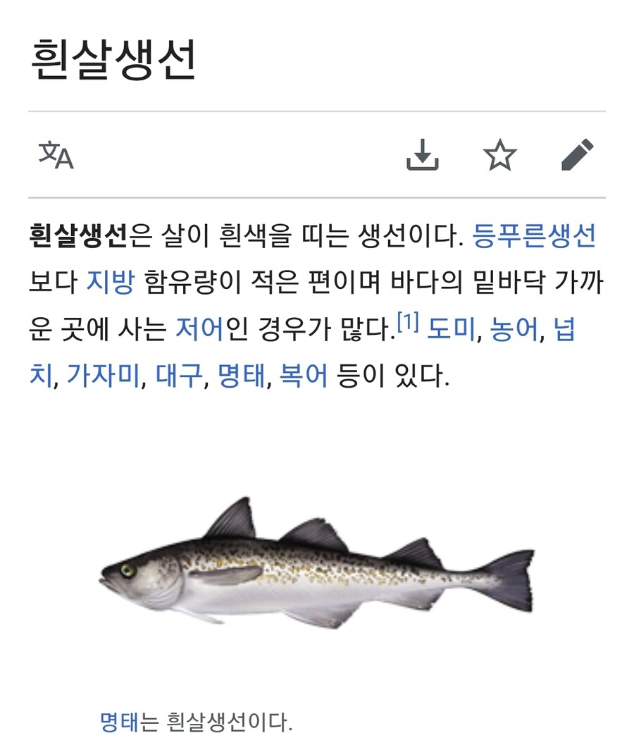 넌 하얀색이고 넌 생선이야!_1.jpg