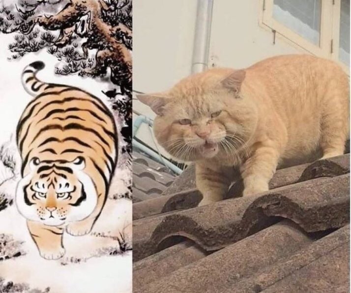 옛날 호랑이그림과 똑같이 생긴 고양이_1.jpg