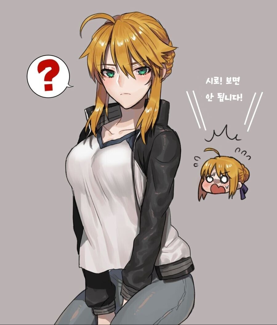 Fate) 뭐 더빙 성대 목소리를 어쩨야하네 이땐 저쩨야하네 다 개소리고_1.jpg