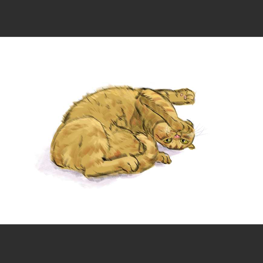 고양이) 넘으집 고양이_1.png