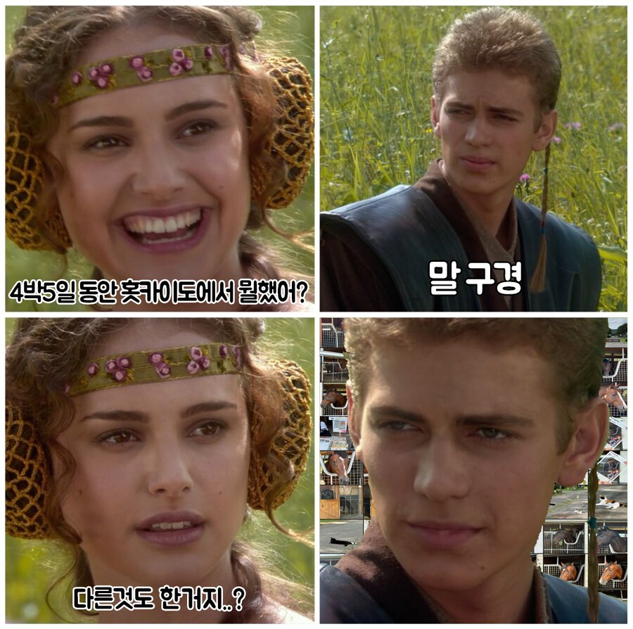 와 4박 5일 홋카이도 여행을 갔다 왔다고?_1.png