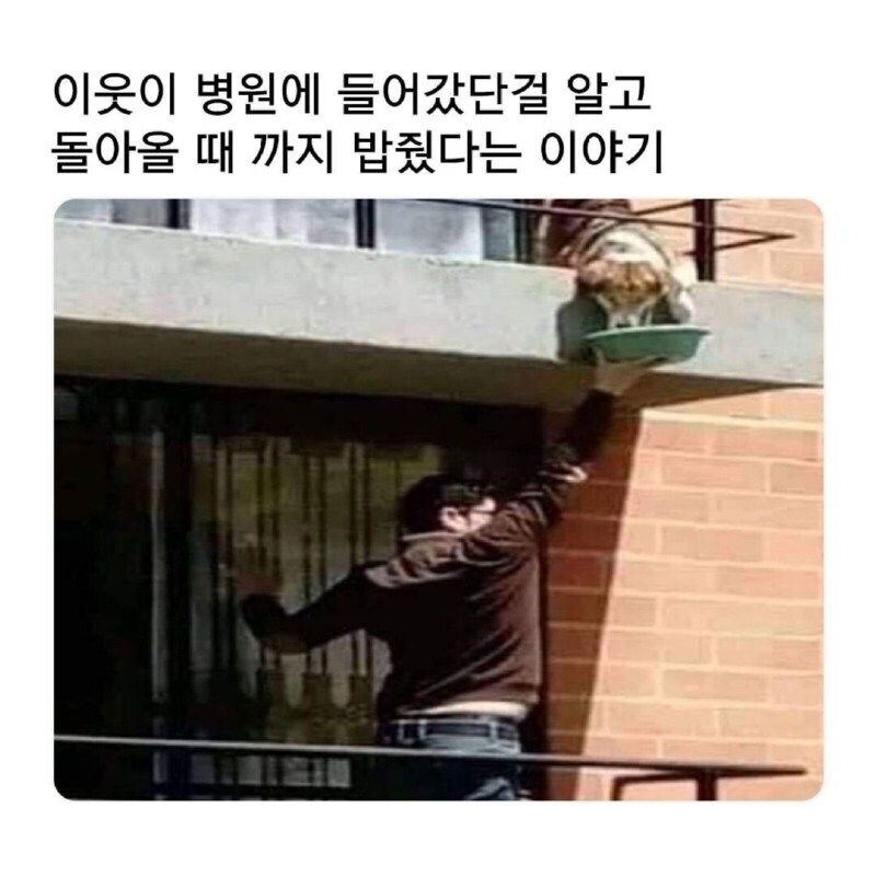 주인이 병원에 실려가 밥을 줄 사람이 없는 댕댕이_1.jpg
