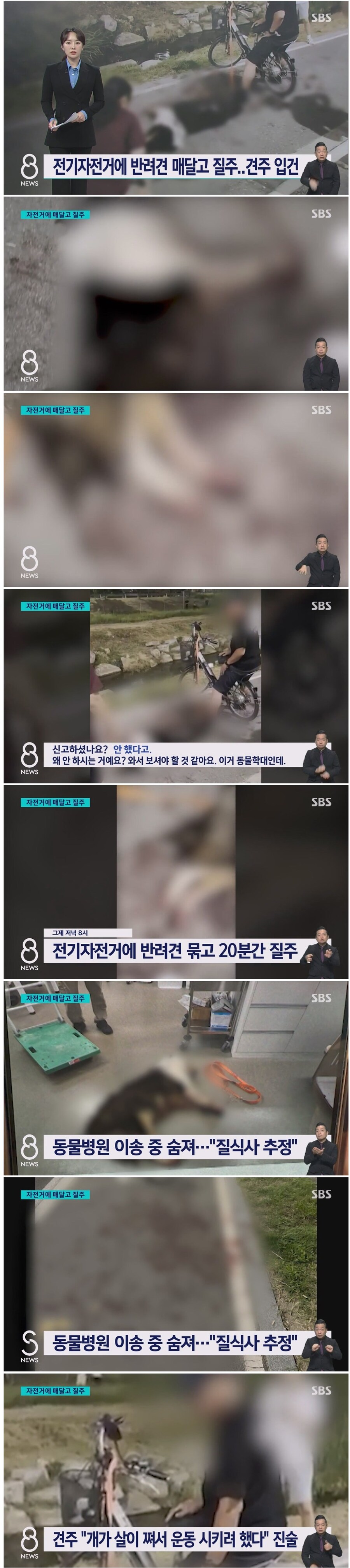 죽을 때까지'질질'…산책로 피범벅에 고통스러워 연신 울음.. 견주 '살쪄서 운동'_1.jpg