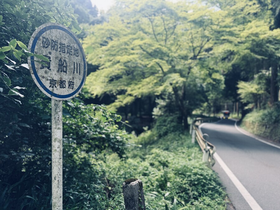 올해 여름휴가때도 곰은 못봄_6.jpg