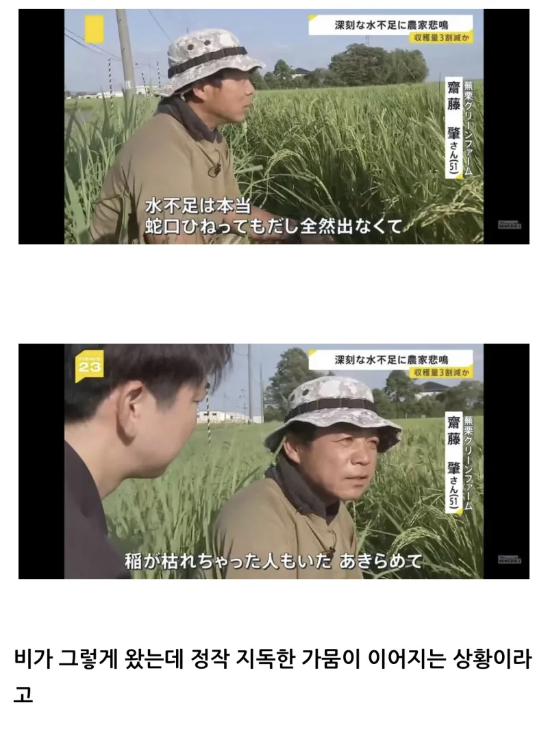 점점 더 답이 안보이는 일본 쌀값_1.webp