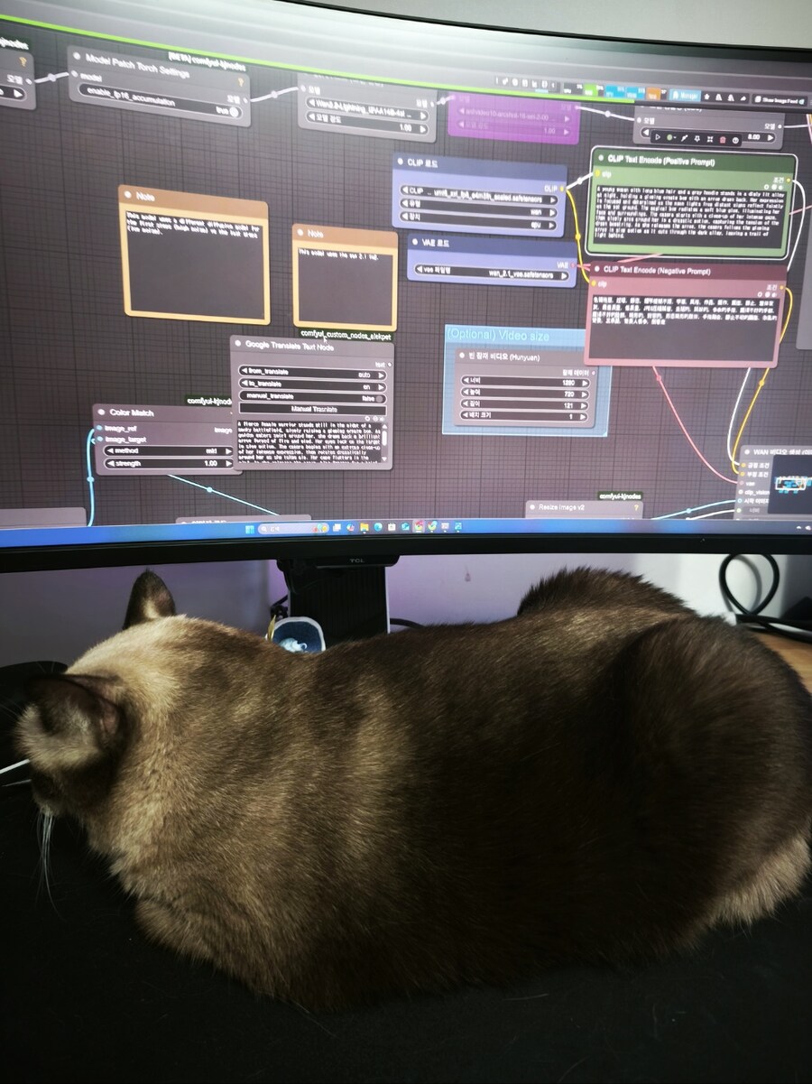 블랙 앤 화이트 조합 어항케이스 with gallardo RTX 5090_3.jpg