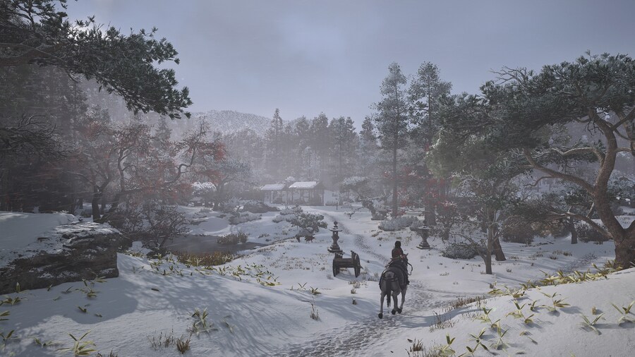 Assassin's Creed® Shadows_9.jpg