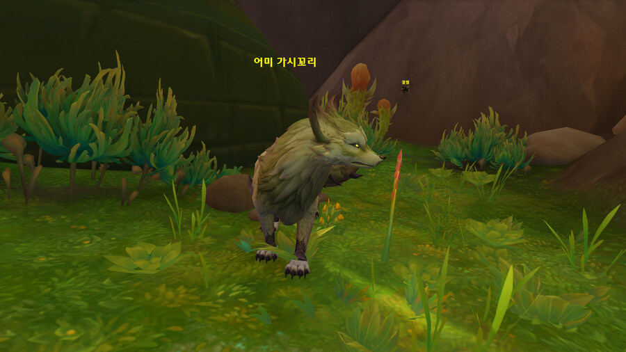 와우) 아니 행성이 다른데 왜 생물 생긴게 다 비슷해?_1.jpg