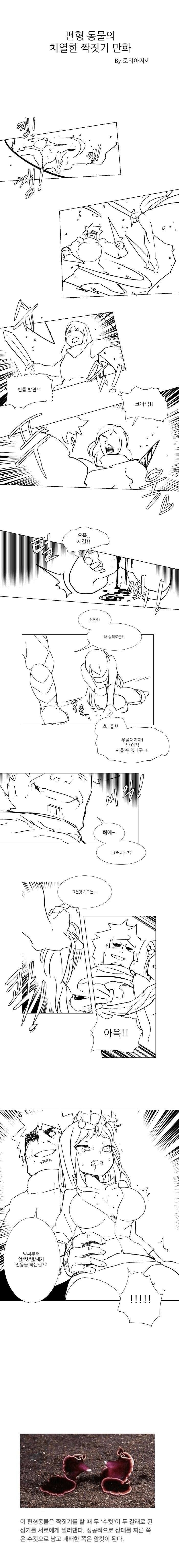 편형동물의 치열한 짝짓기 만화.manwha_1.png