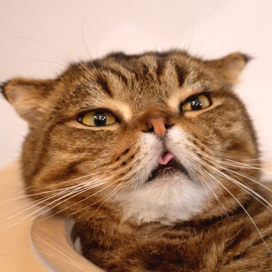 북유게 근본_1.jpg