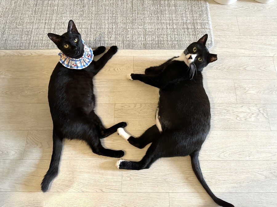 누굴 고를래?_2.jpg