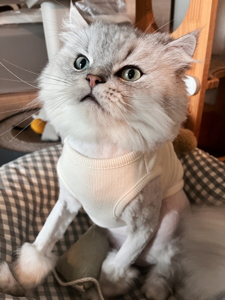 누굴 고를래?_5.jpg