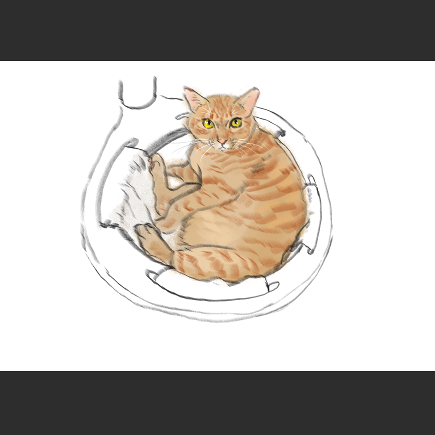 고양이) 넘으집 고양이_1.png