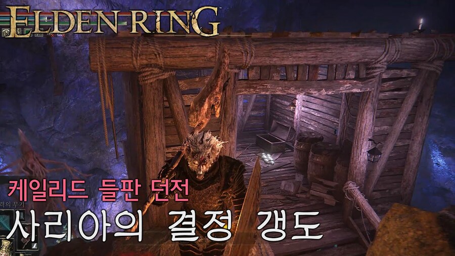 엘든링 초창기 시절때 뉴비들 통곡하게 만들었던 곳_3.jpg