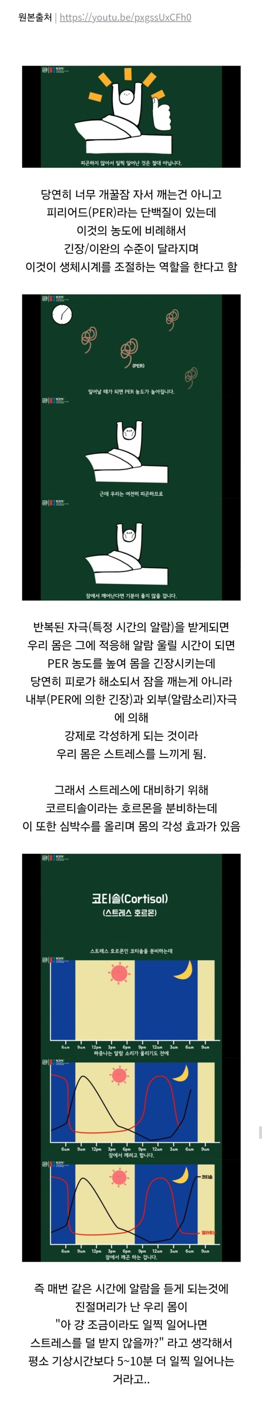 기상 알람 듣기 전 자꾸 잠에서 깨는 이유_1.jpg