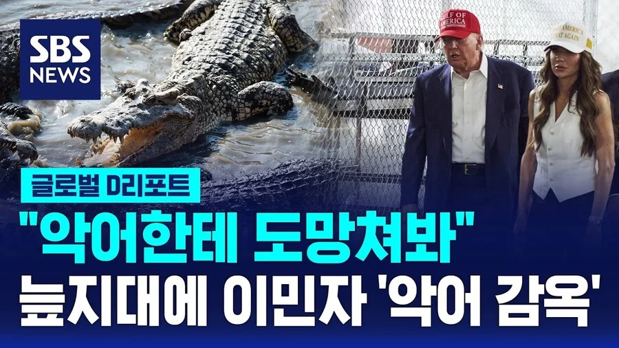 트럼프가 자랑하던 '악어 감옥' 근황_2.webp