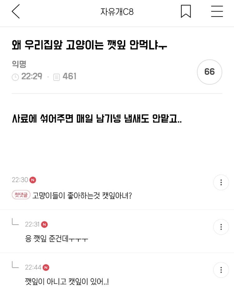 의외로 모르는 사람이 있는 고양이 상식_1.jpg
