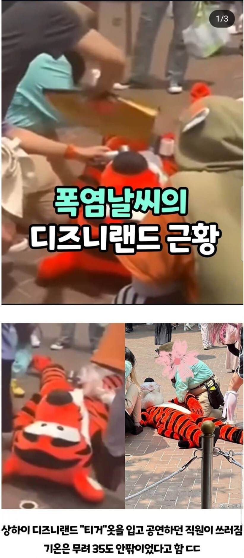 폭염 날씨의 디즈니랜드_1.jpg