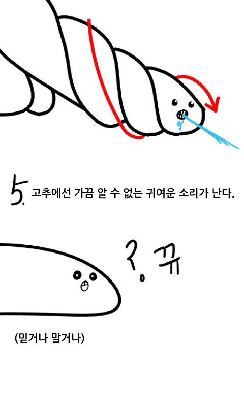 여자는 잘 모르는 남자의 비밀_3.jpg