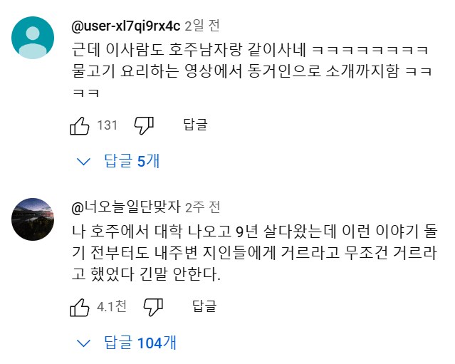 호주 워홀녀.....유튜브 댓글 대참사.jpg_7.png