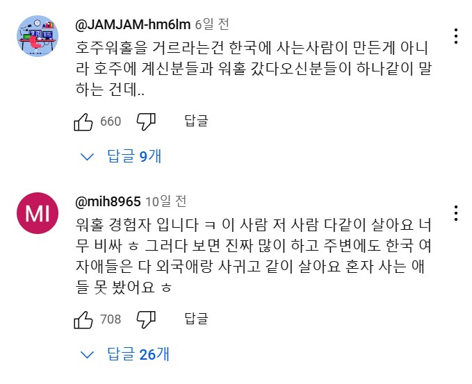 호주 워홀녀.....유튜브 댓글 대참사.jpg_13.png
