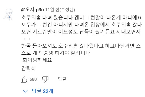 호주 워홀녀.....유튜브 댓글 대참사.jpg_15.png