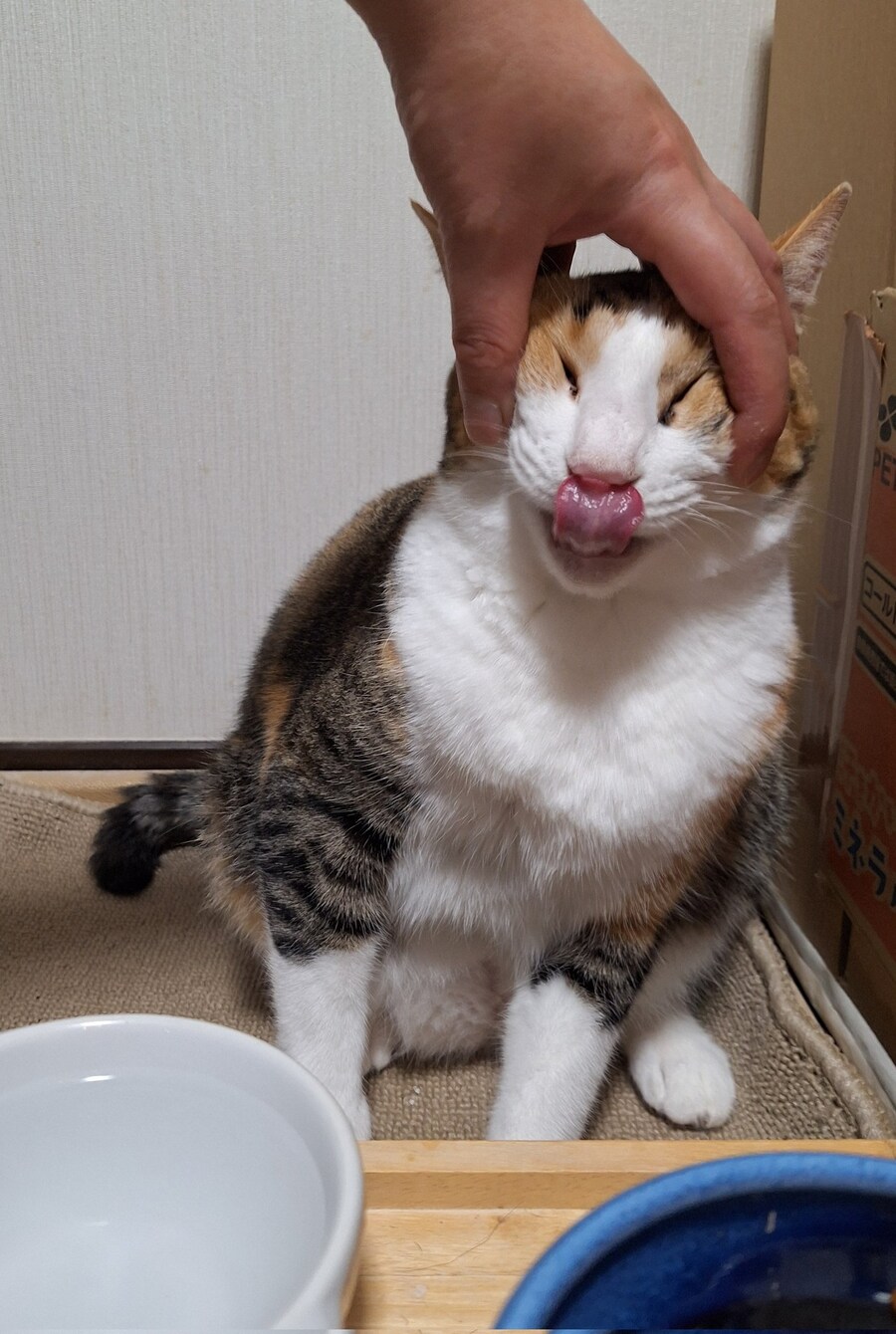 물을 많이 먹으렴_2.jpg