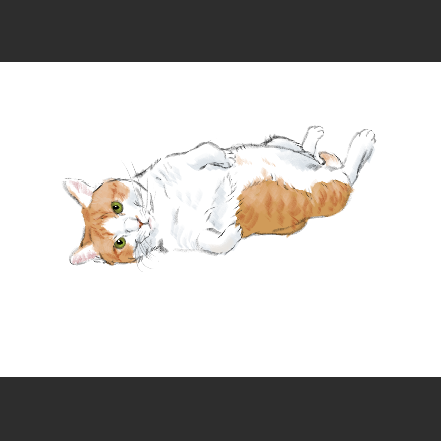 고양이) 넘으집 고양이_1.png