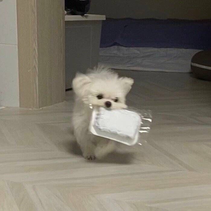 ??? : 쭈인아 이것좀 뜯어주라.JPG_4.jpg