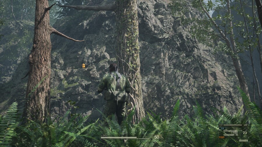 하드 난이도 디 엔드 앵무새 위치_2.jpg