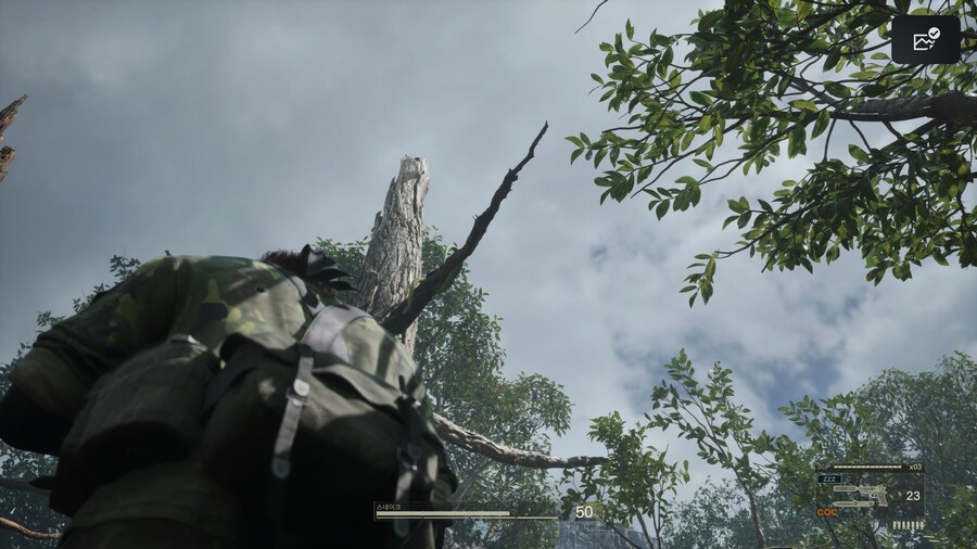 하드 난이도 디 엔드 앵무새 위치_3.jpg