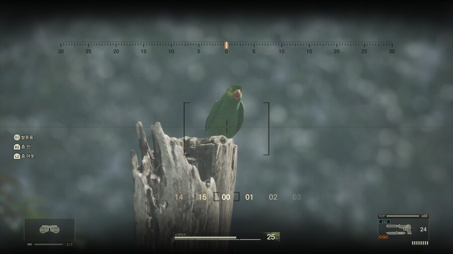 하드 난이도 디 엔드 앵무새 위치_4.jpg