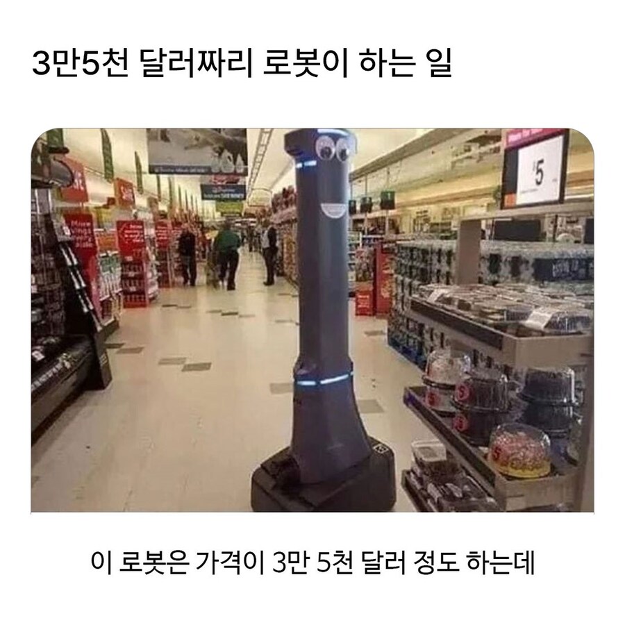 3만5천 달러짜리 로봇이 하는 일.jpg_1.jpg