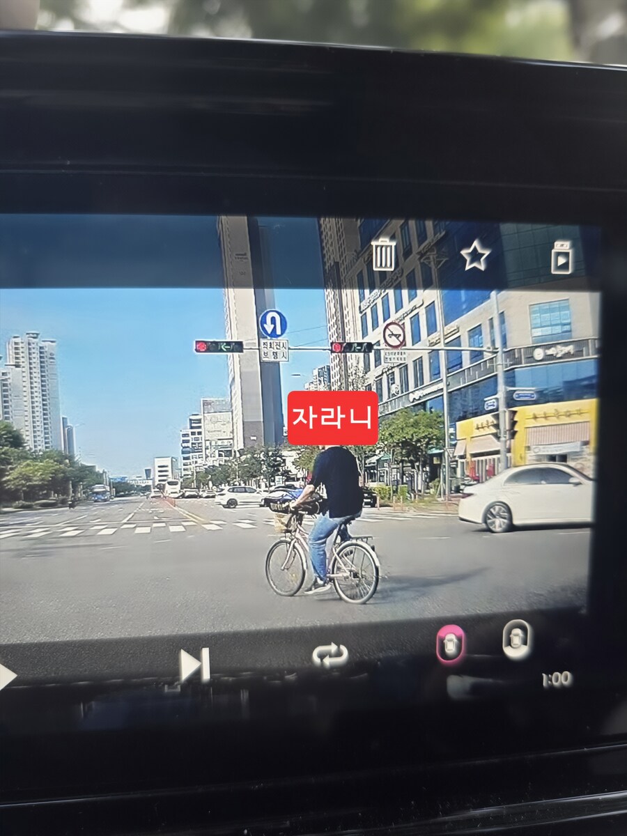 출근길에 만난 야생의 자라니_1.jpg