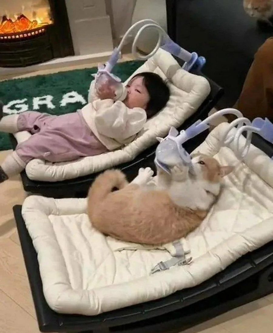 응애 아기 고양이_1.webp