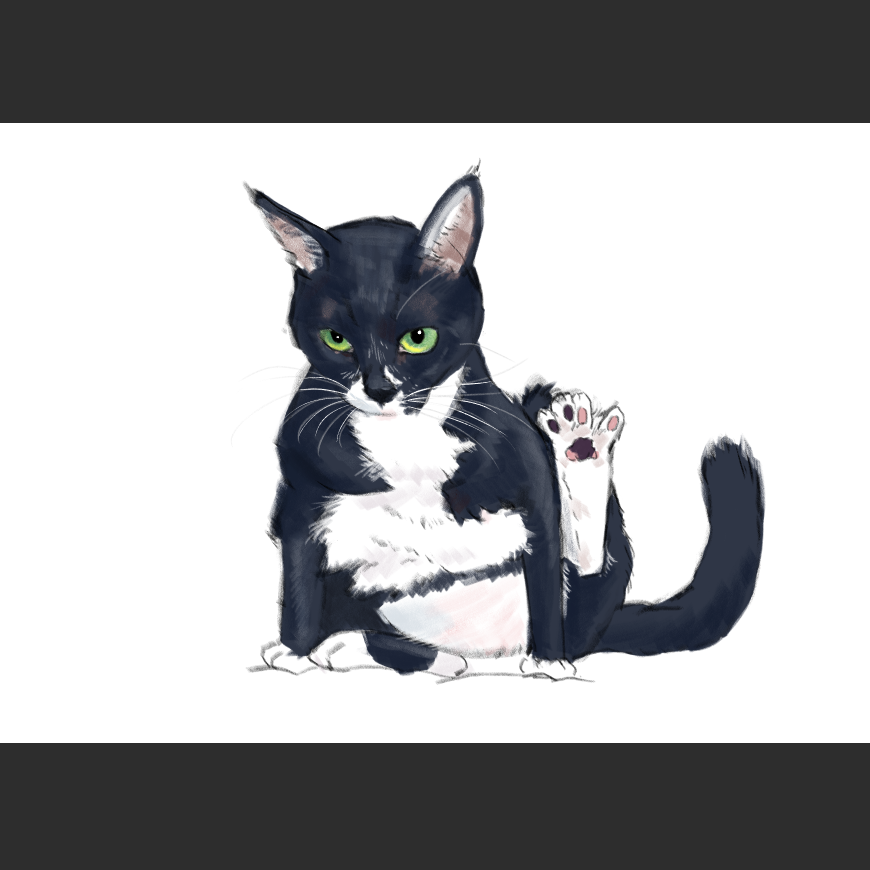 고양이) 넘으집 고양이_1.png