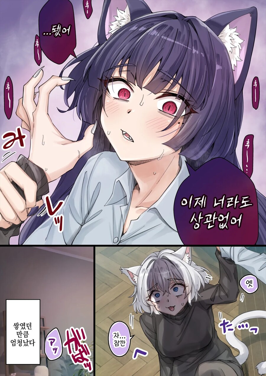 NTR를 너무 많이 당해서 머리가 이상해진 얀데레 반려묘.manga_3.png